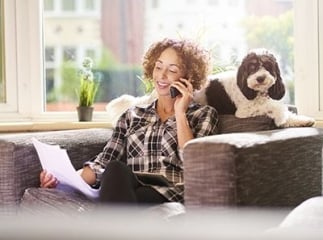 assurance pour chien
